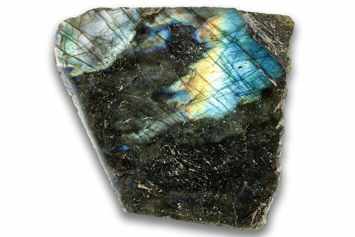 Single Side Polished Labradorite Section - Madagascar #324689